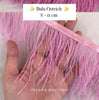 Ostrich 8-11mm Feathers