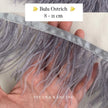 Ostrich 8-11mm Feathers
