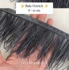 Ostrich 8-11mm Feathers
