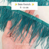 Ostrich 8-11mm Feathers