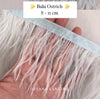 Ostrich 8-11mm Feathers