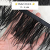Ostrich 8-11mm Feathers