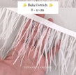 Ostrich 8-11mm Feathers