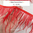 Ostrich  Panjang 10-15mm Feathers