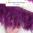 Turkey Feathers 8-11cm