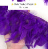 Turkey Feathers 8-11cm
