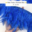 Turkey Feathers 8-11cm