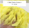 Turkey Feathers 8-11cm