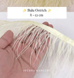 Ostrich 8-11mm Feathers
