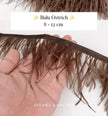 Ostrich 8-11mm Feathers