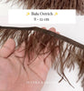 Ostrich 8-11mm Feathers