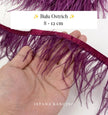 Ostrich 8-11mm Feathers