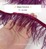 Ostrich 8-11mm Feathers