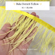 Ostrich  Panjang 10-15mm Feathers
