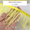 Ostrich  Panjang 10-15mm Feathers