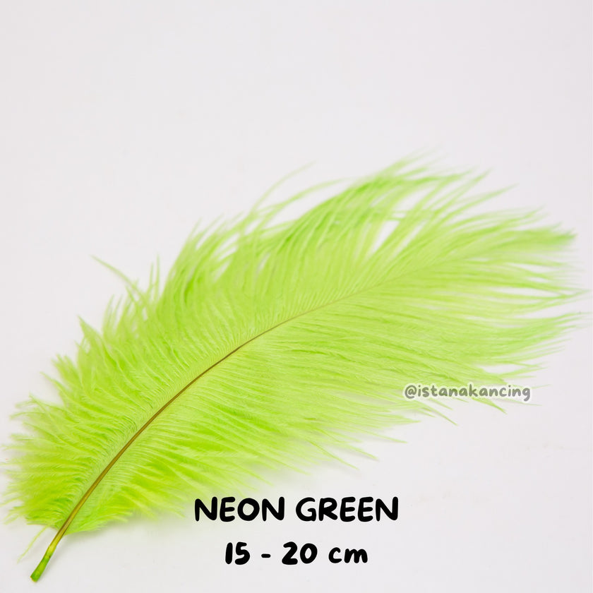 Bulu Ostrich Batangan 15-20cm