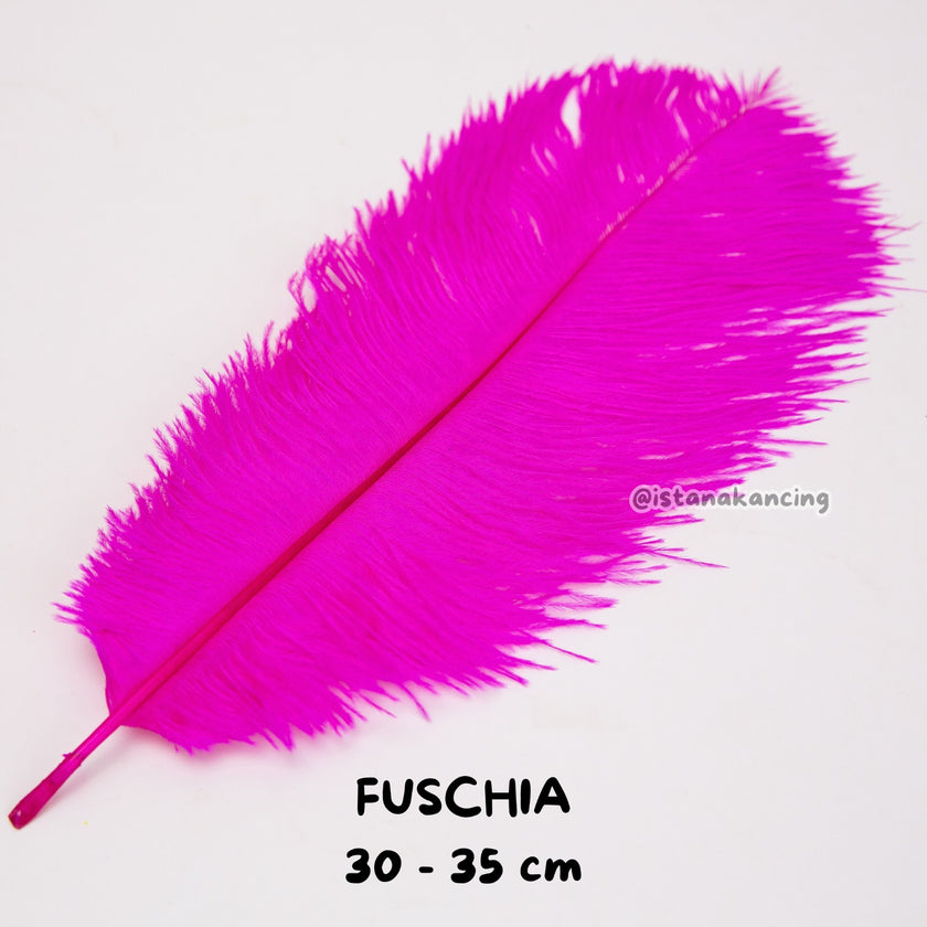 Bulu Ostrich Batangan 30-35cm