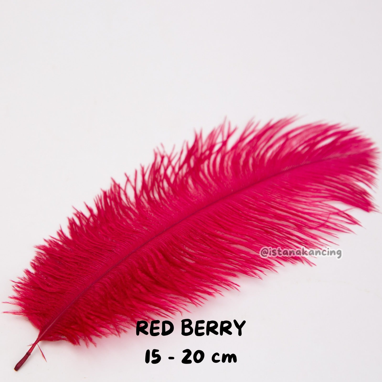 Bulu Ostrich Batangan 15-20cm