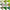 SPTI Lining Green Series