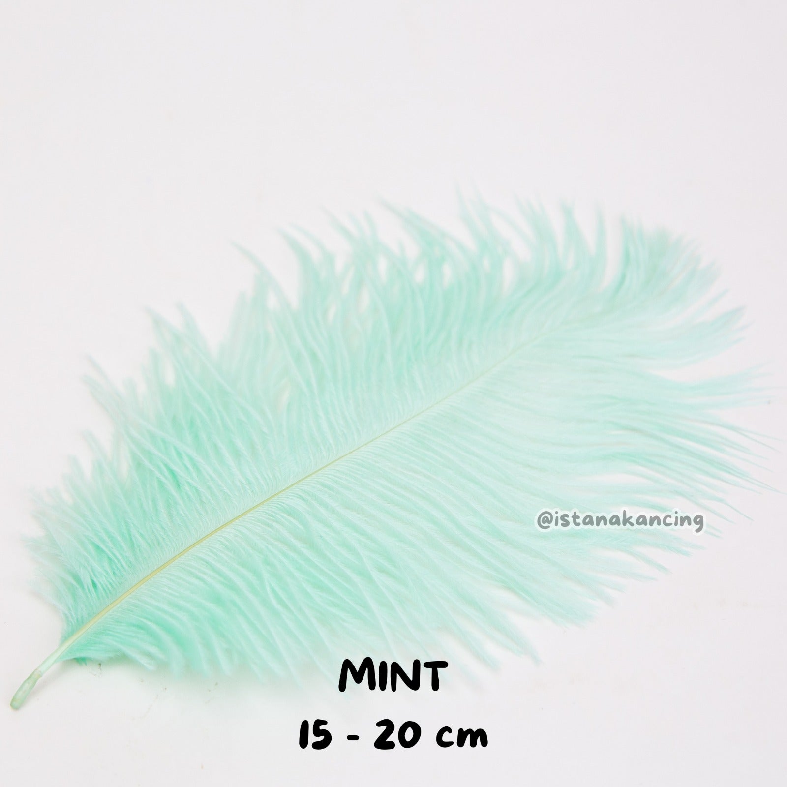 Bulu Ostrich Batangan 15-20cm