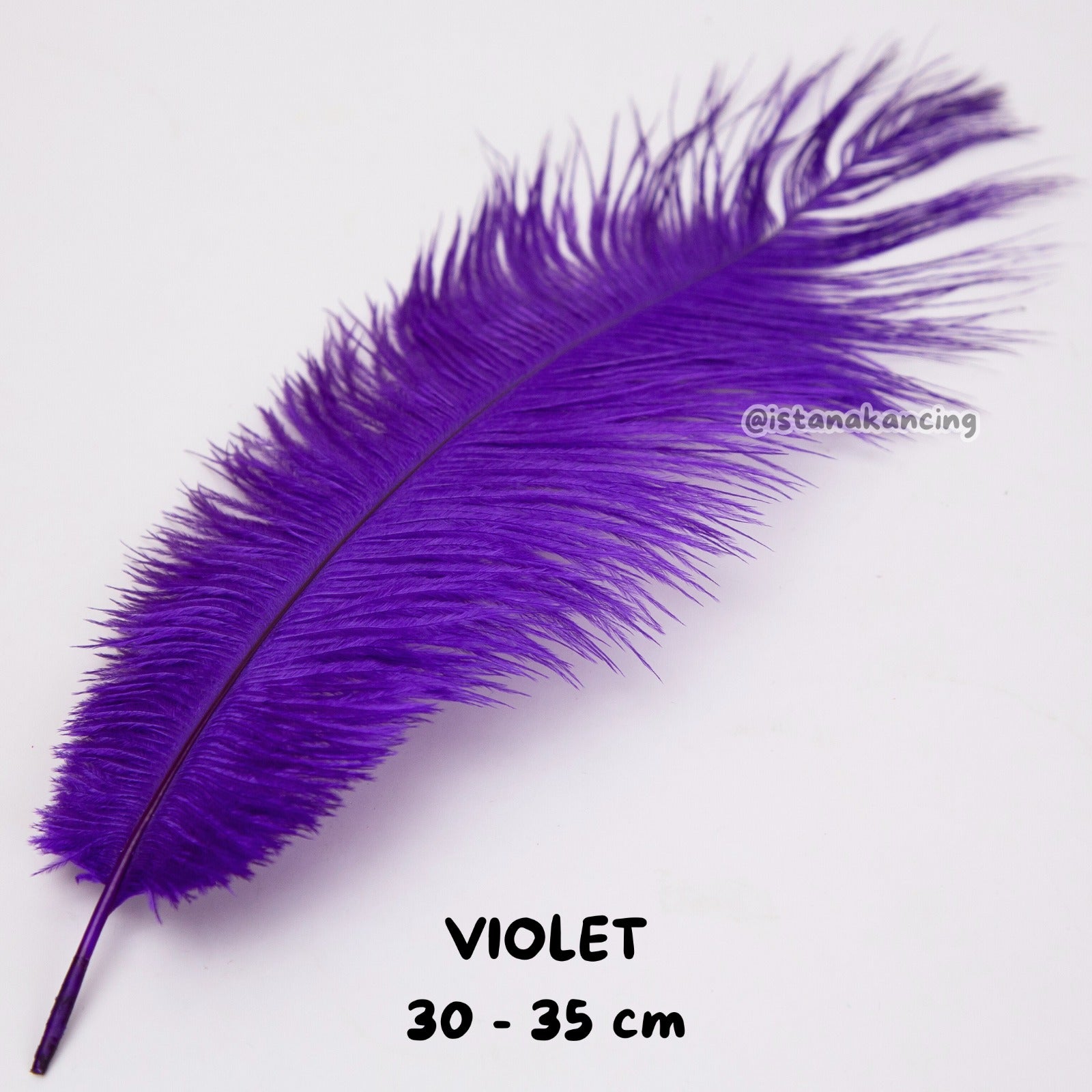 Bulu Ostrich Batangan 30-35cm