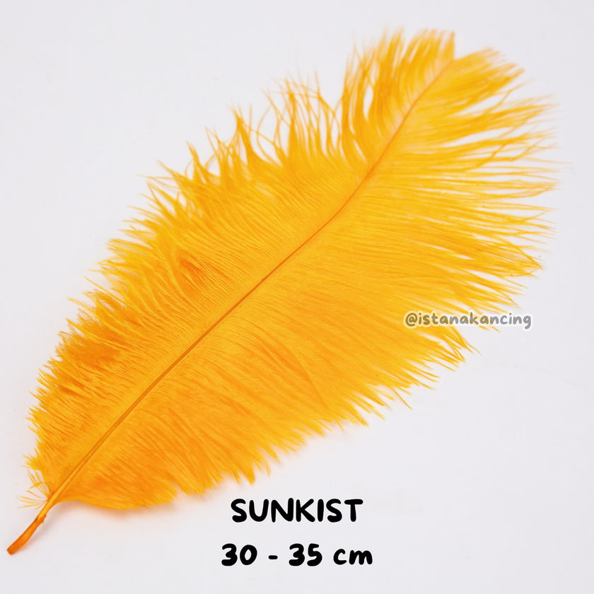 Bulu Ostrich Batangan 30-35cm