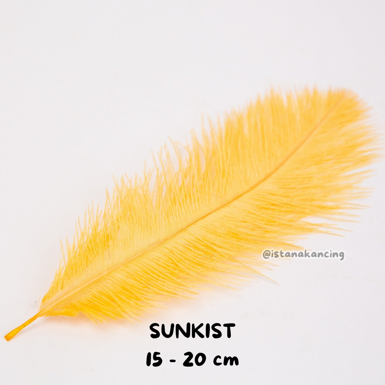 Bulu Ostrich Batangan 15-20cm