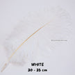 Bulu Ostrich Batangan 30-35cm