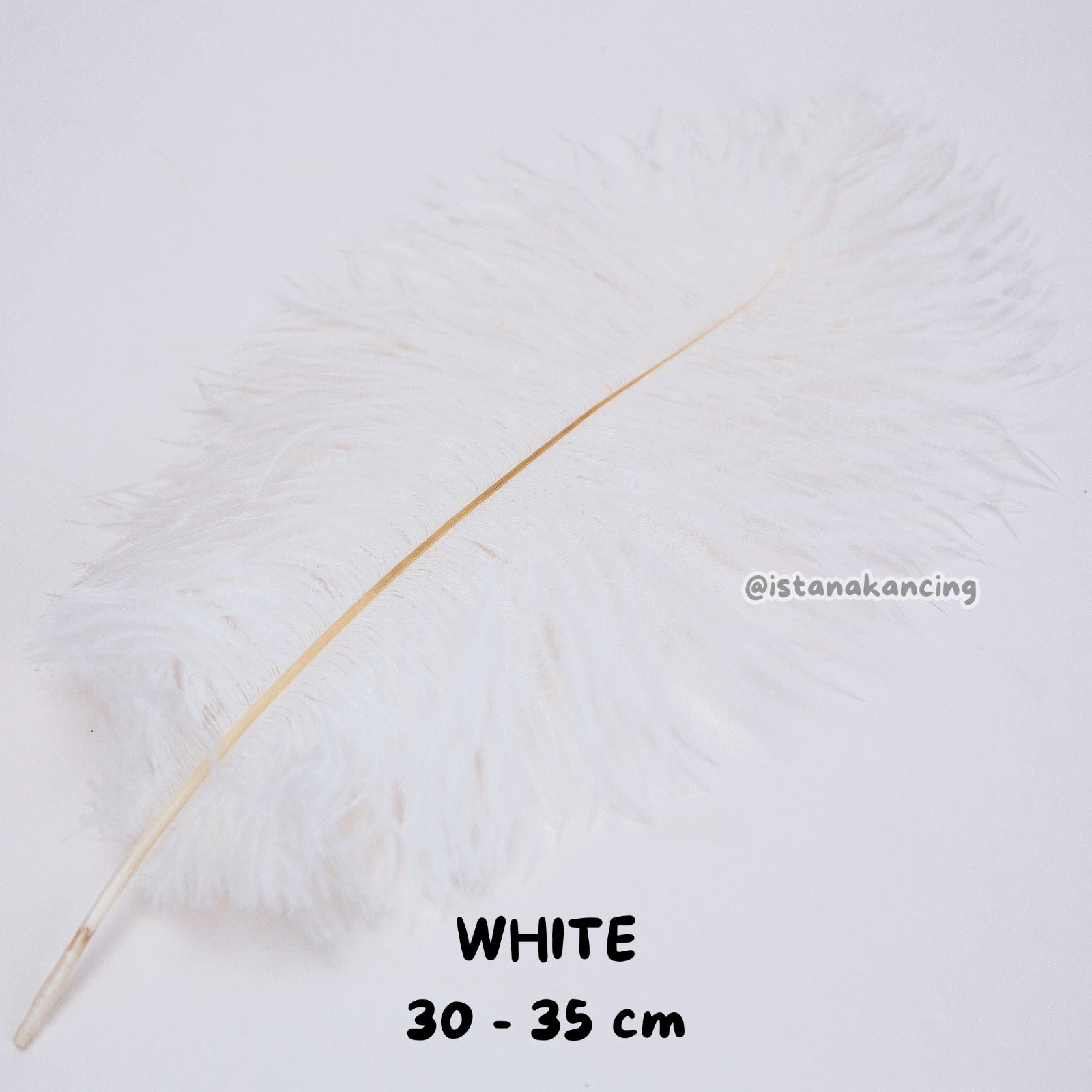 Bulu Ostrich Batangan 30-35cm
