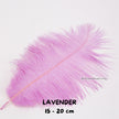 Bulu Ostrich Batangan 15-20cm