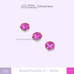 Round 10mm Rhinestone Kristal Cangkang