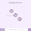 Round 10mm Rhinestone Kristal Cangkang
