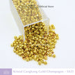 Kristal Cangkang SS