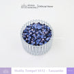 Payet Tempel Mute Gosok Hotfix Rhinestone SS12