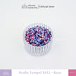 Payet Tempel Mute Gosok Hotfix Rhinestone SS12