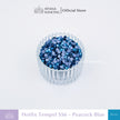 Payet Tempel Mute Gosok Hotfix Rhinestone SS6