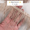 Ostrich 8-11mm Feathers