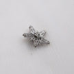 Starling Rhinestone