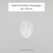 Bulu Ostrich Batangan 15-20cm