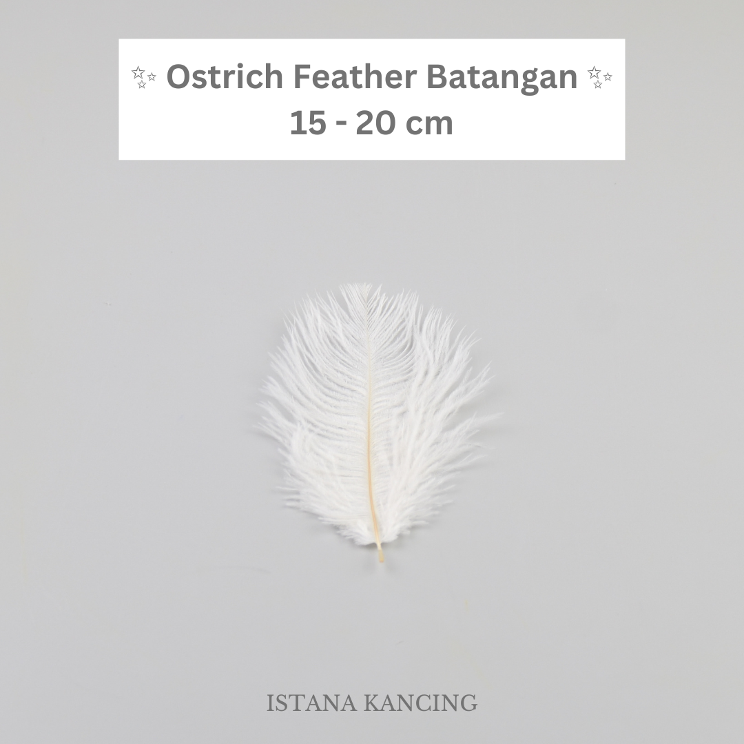 Bulu Ostrich Batangan 15-20cm