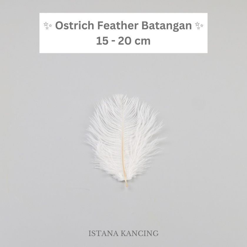 Bulu Ostrich Batangan 15-20cm