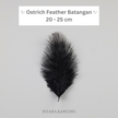 Bulu Ostrich Batangan 20-25cm