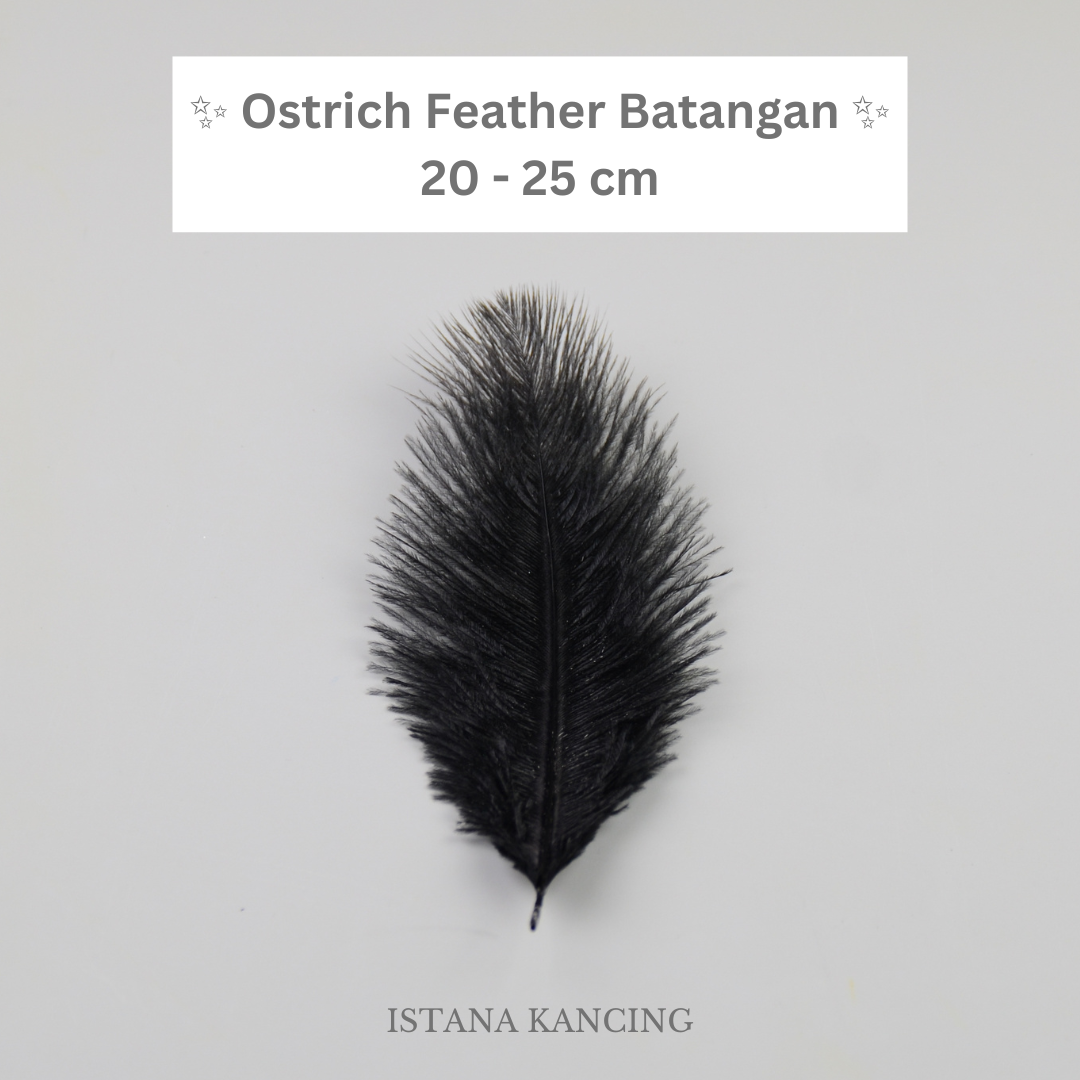 Bulu Ostrich Batangan 20-25cm