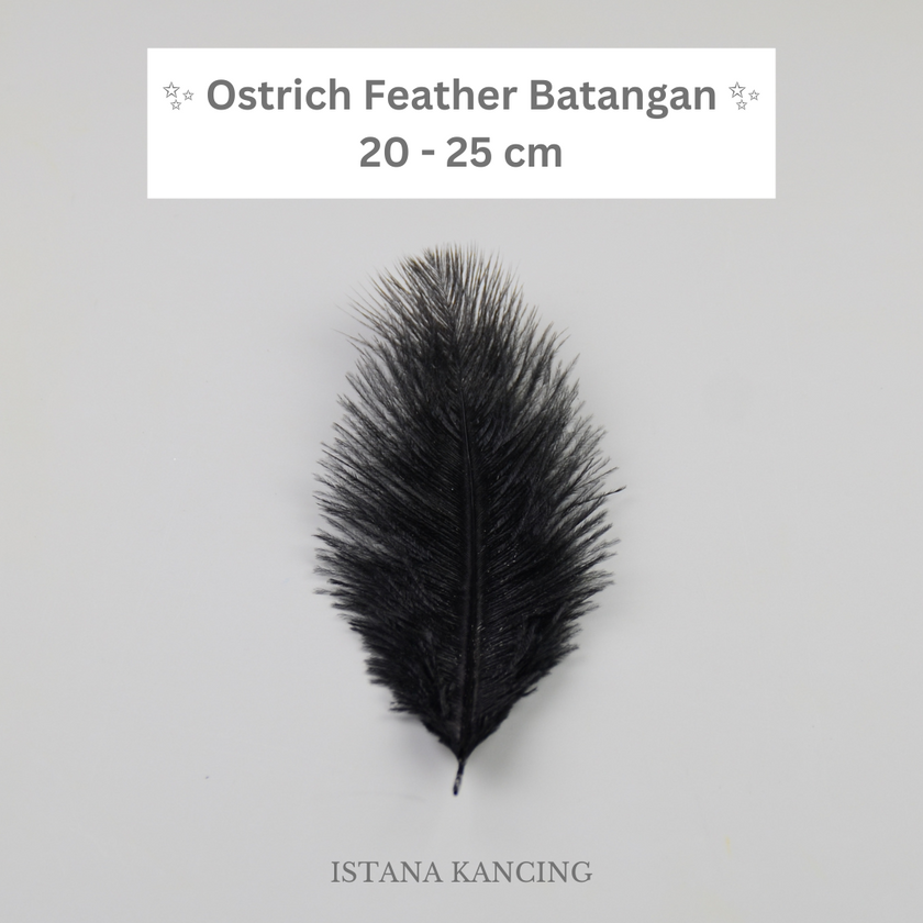 Bulu Ostrich Batangan 20-25cm