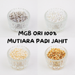 MGB Mutiara Jujube & Tear Drop