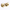 Shell Button